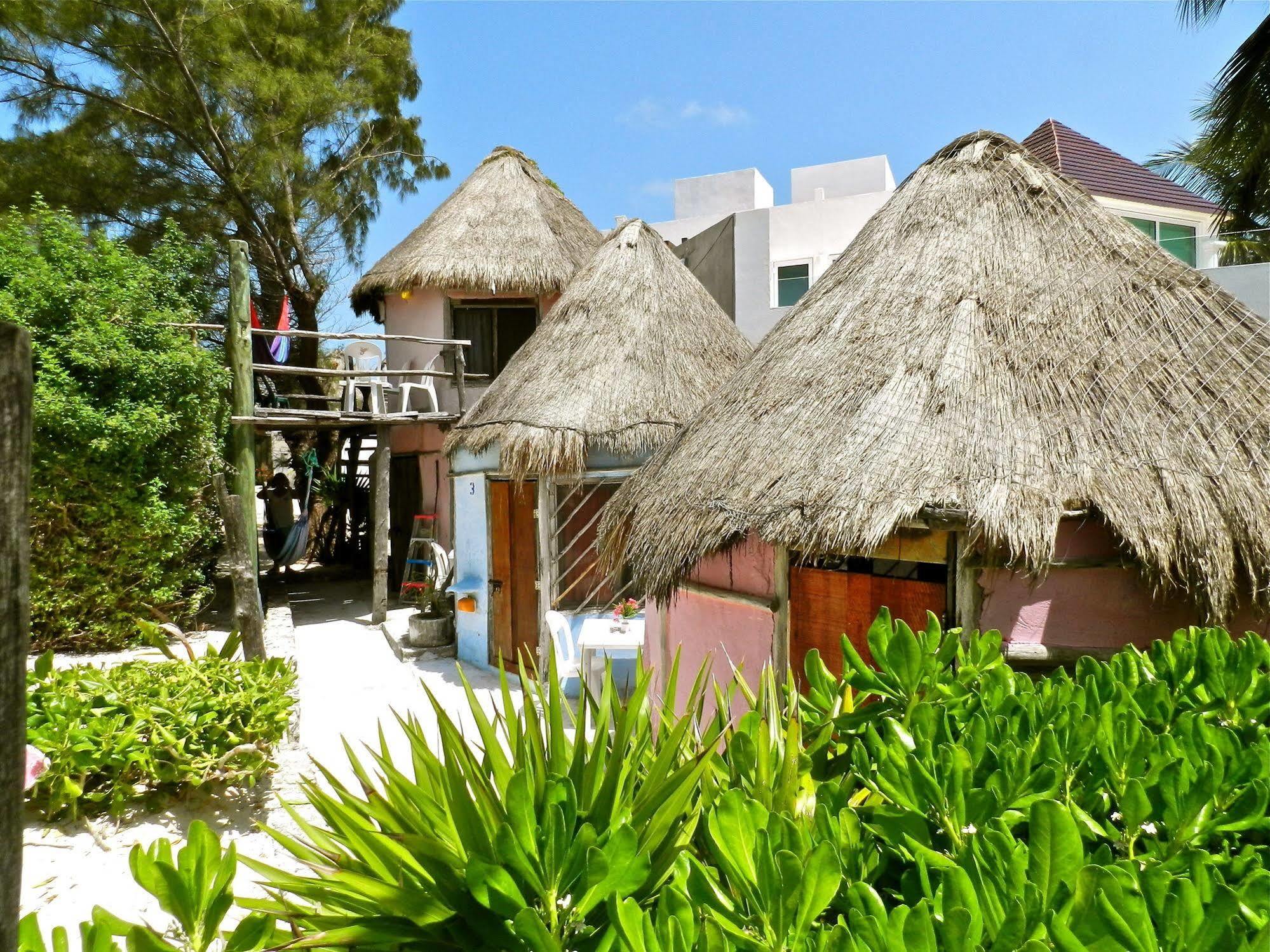 Acamaya Reef Cabanas Puerto Morelos Extérieur photo