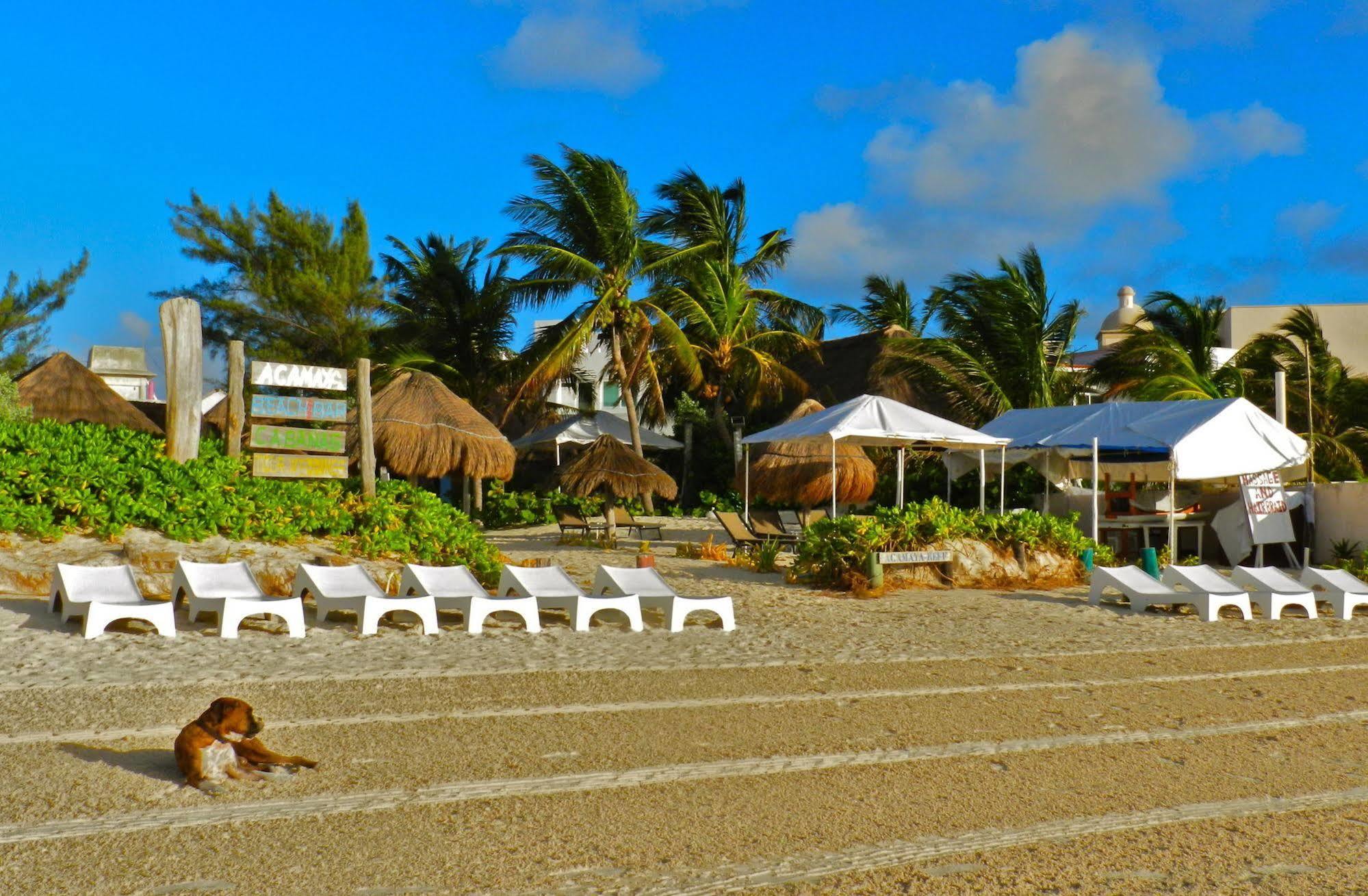 Acamaya Reef Cabanas Puerto Morelos Extérieur photo